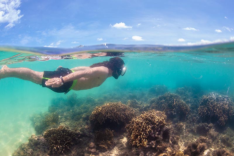 Mergulho com águas cristalinas com detalhes dos corais